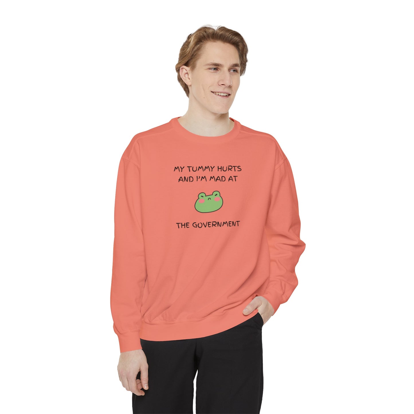 "My Tummy Hurts and I'm Mad At The Government" Grumpy Froggy - Crewneck Sweatshirt