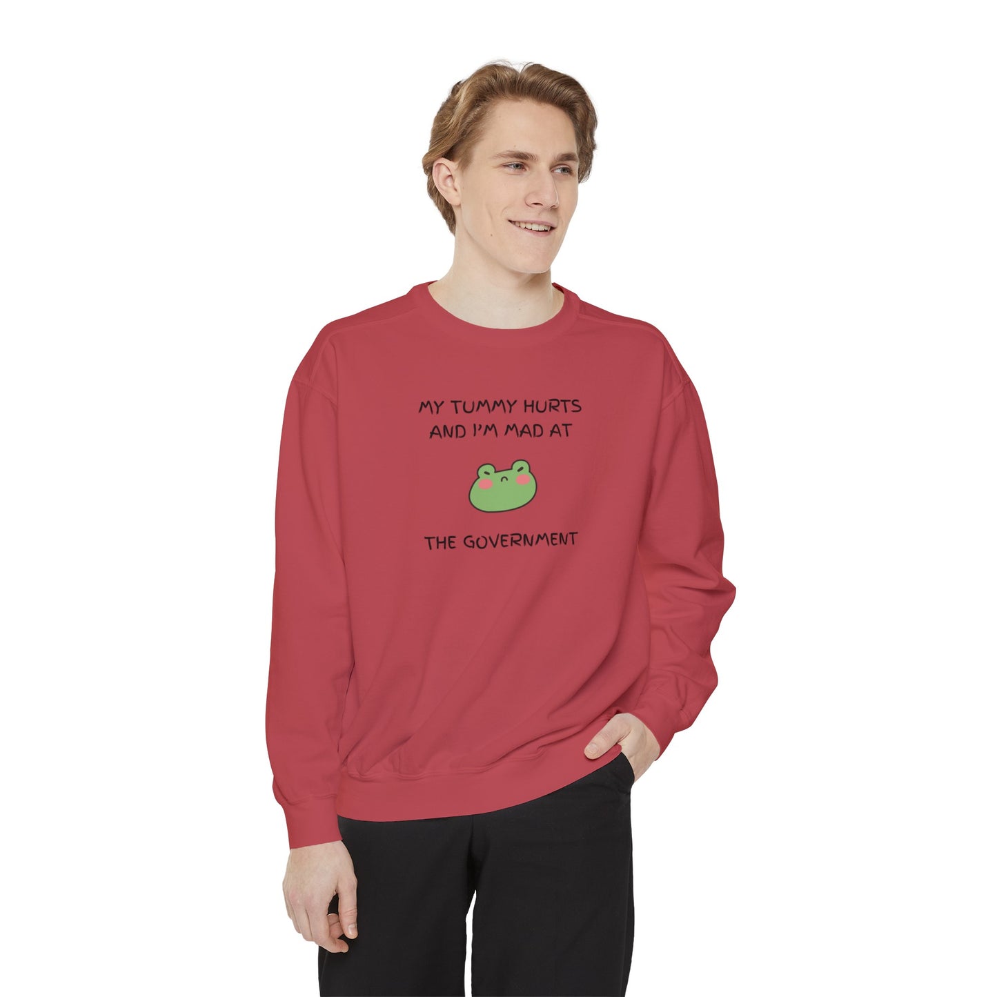 "My Tummy Hurts and I'm Mad At The Government" Grumpy Froggy - Crewneck Sweatshirt